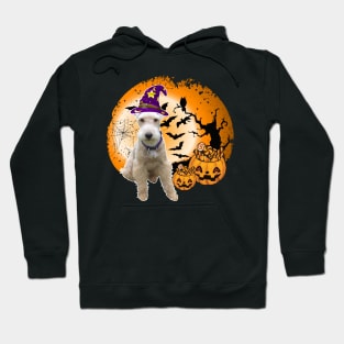 Happy Halloween Lakeland Terrier Dogs Halloween Gift Hoodie